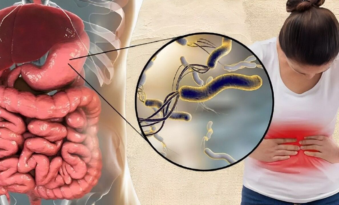Hoe komen wormen het lichaam binnen 