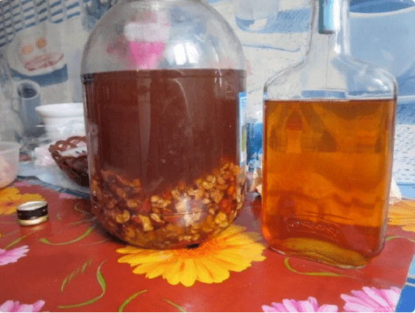 Therapeutische tincturen van parasieten