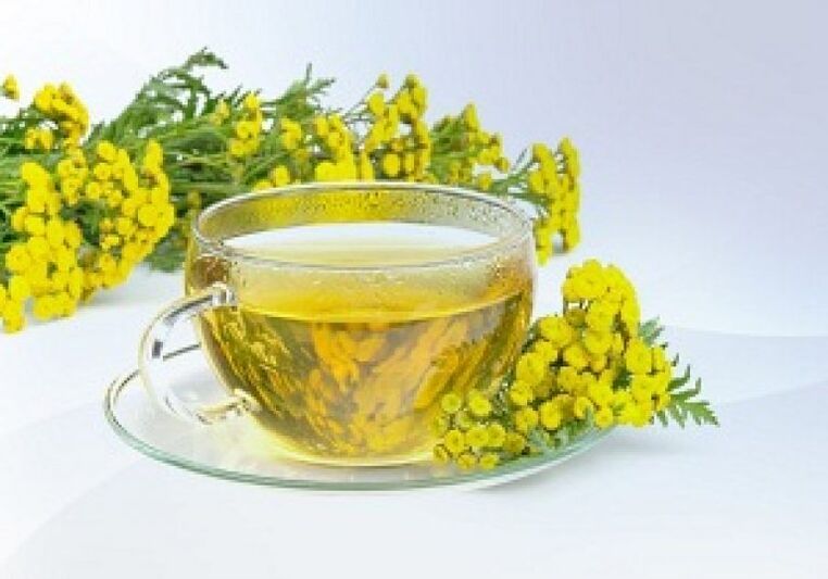 Tansy-infusie helpt bij het verwijderen van parasieten in het lichaam